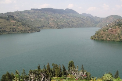 My Encounter with Lake Kivu&#039;s Biodiversity